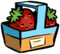 T Strawberries.png