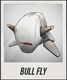 BULL FLY